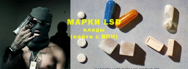 spice Инсар