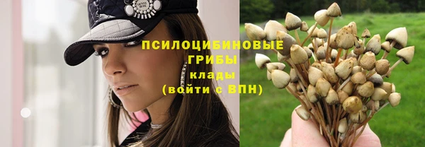 марки nbome Иннополис