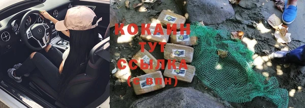 spice Инсар