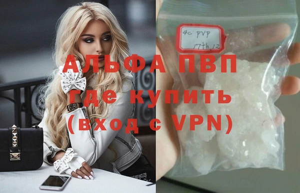 spice Инсар