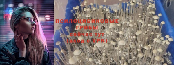 не бодяженный Инта