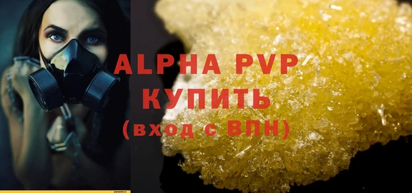 spice Инсар
