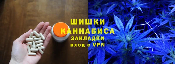 spice Инсар