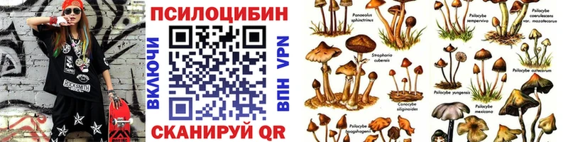 Купить закладки  Ишим  Псилоцибиновые грибы прущие грибы 